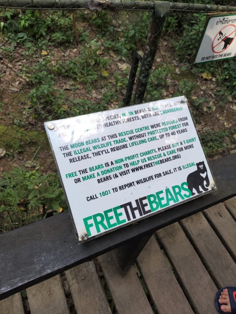 Bear sanctuary at kuang si waterfalls