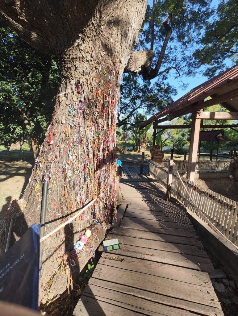 killing fields path Phnom penh Cambodia Adventure
