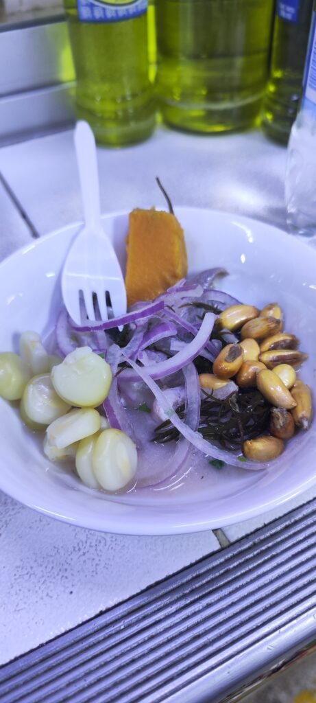 National Peruvian Dish Ceviche