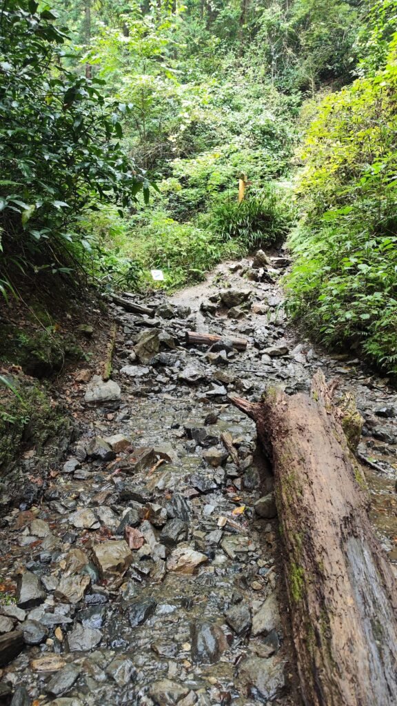 Trail Mount Takao